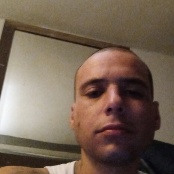 Meet your Posher, George - Picture 2 of 3